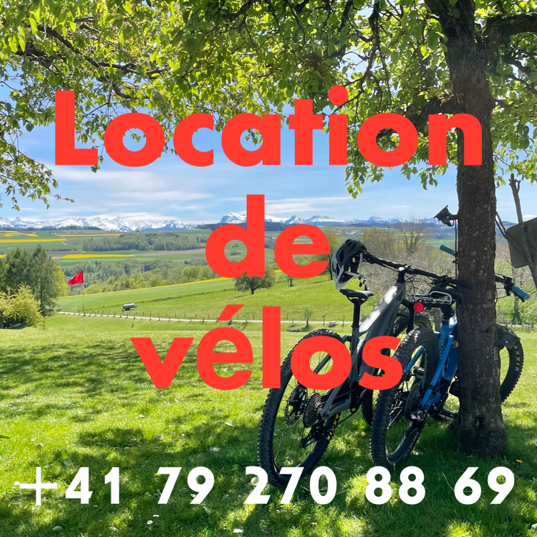 contact location vélos